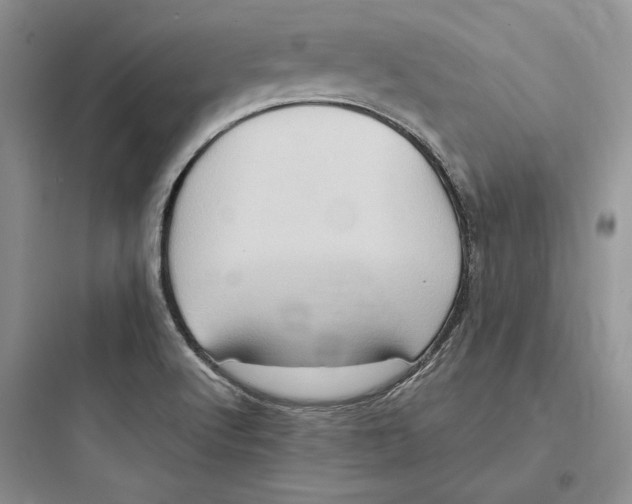 X0000097601512200803211647
