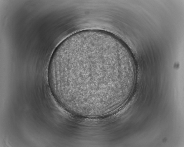 X0000097601513200803211647