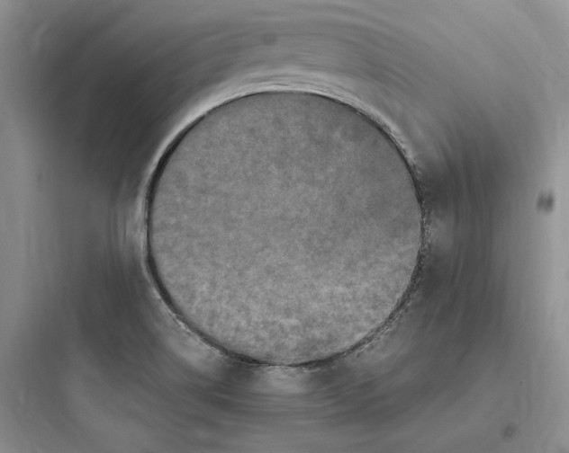 X0000097601514200803211647