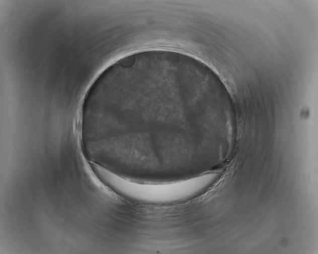 X0000097601515200803211647