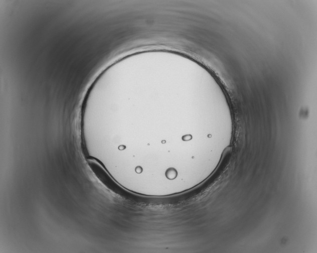X0000097601516200803211647