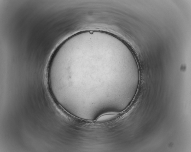 X0000097601517200803211647
