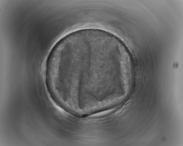 X0000097601519200803211647
