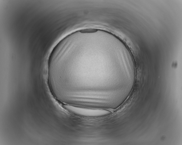 X0000097601520200803211647