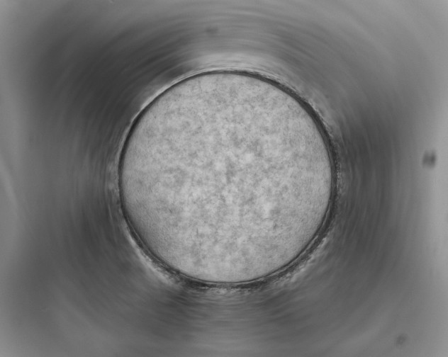 X0000097601521200803211647