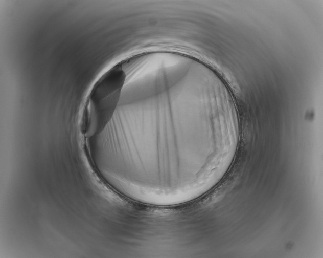 X0000097601522200803211647