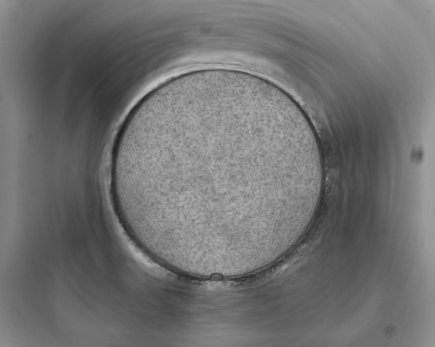 X0000097601523200803211647