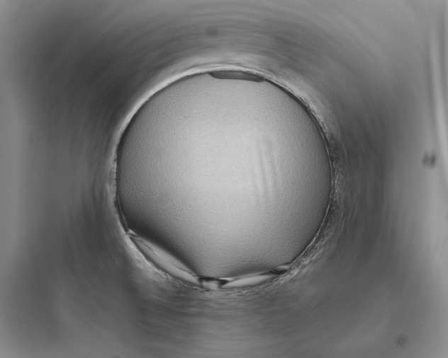 X0000097601524200803211648