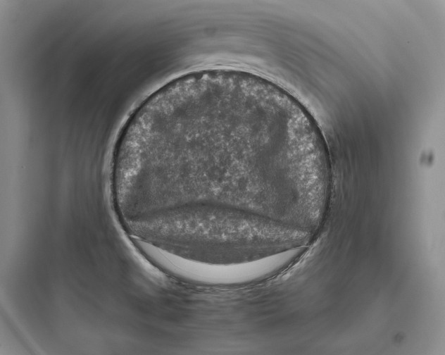 X0000097601525200803211648