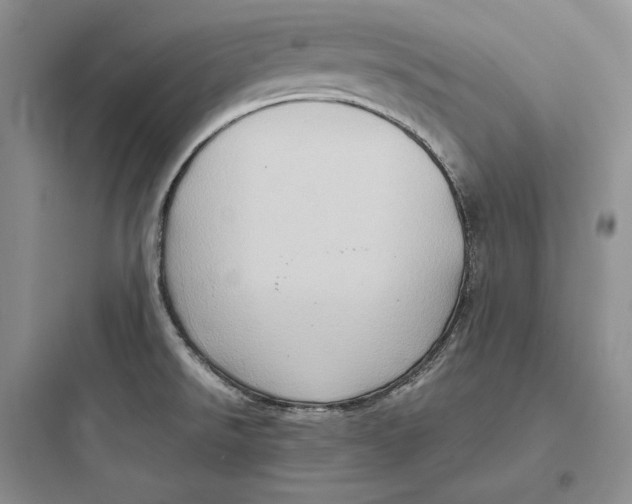 X0000097601526200803211648