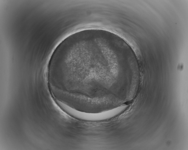 X0000097601527200803211648