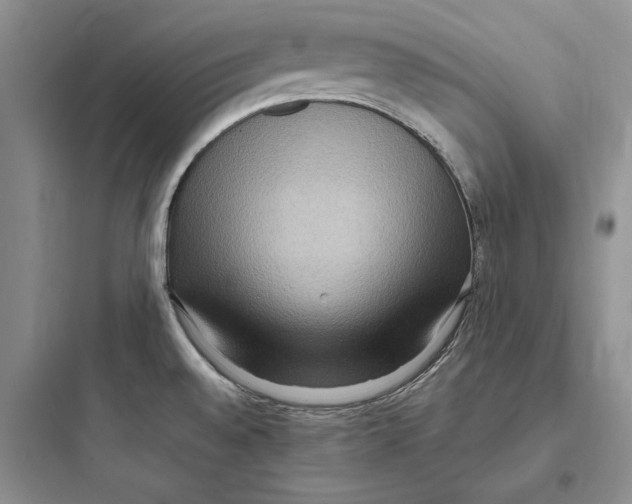 X0000097601528200803211648