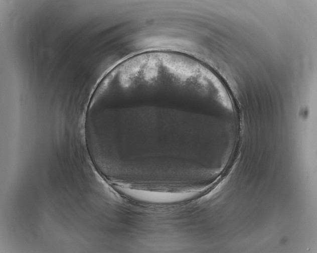 X0000097601529200803211648