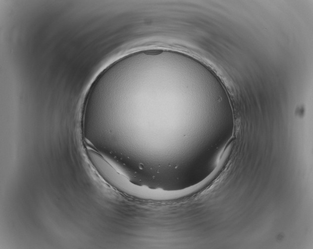 X0000097601530200803211648