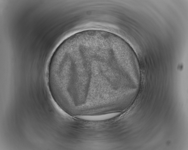 X0000097601531200803211648