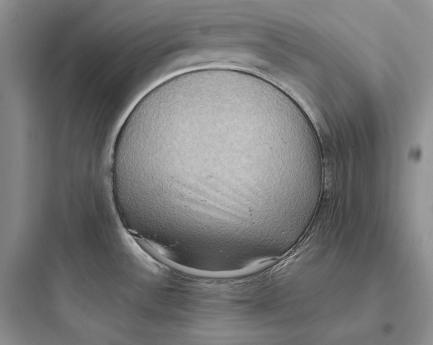 X0000097601532200803211648