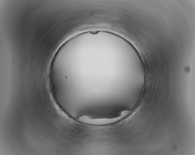 X0000097601534200803211648