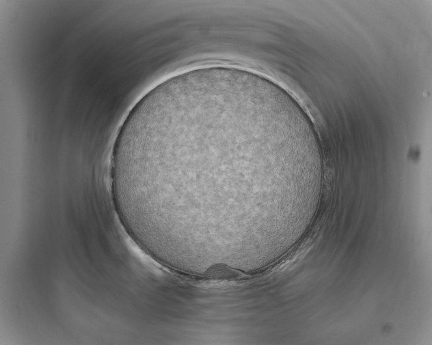 X0000097601535200803211648