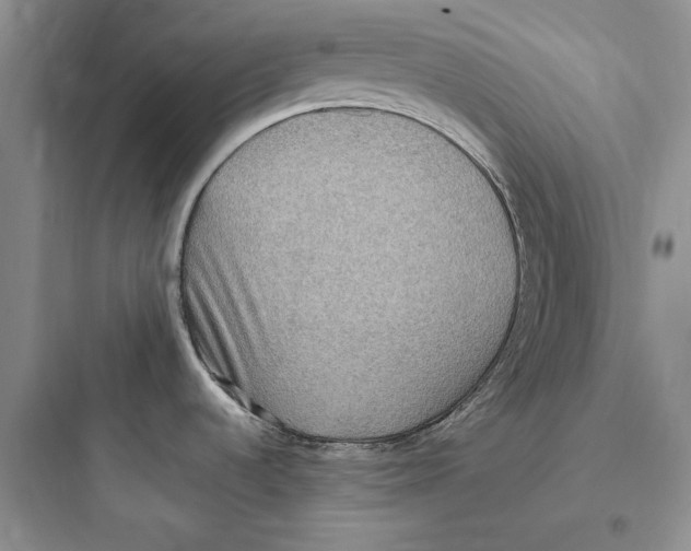X0000097601536200803211648