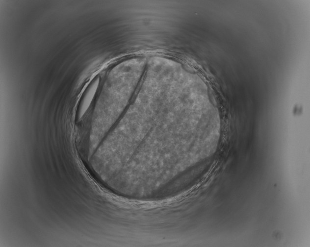 X0000097600002200803281002