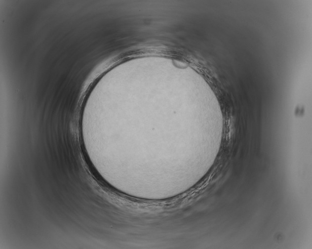 X0000097600004200803281002