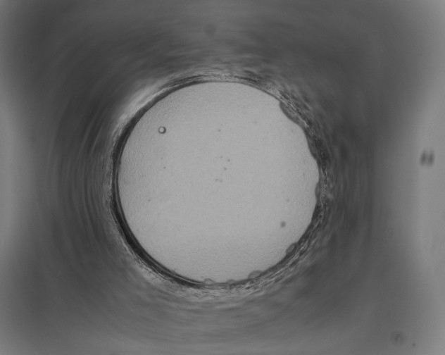 X0000097600005200803281002