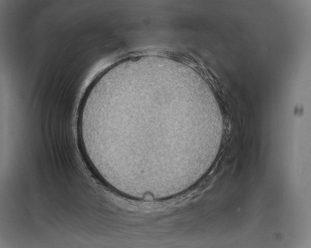 X0000097600006200803281002