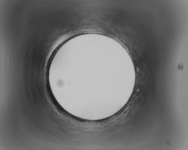 X0000097600008200803281002