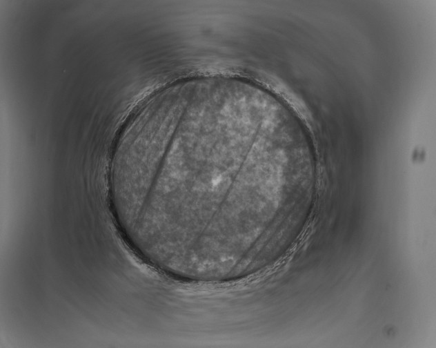 X0000097600009200803281002