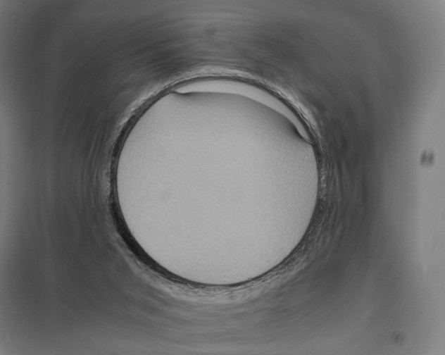 X0000097600015200803281002