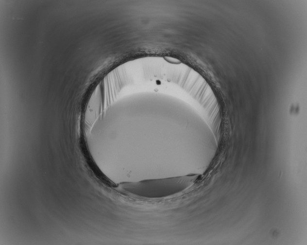 X0000097600019200803281001