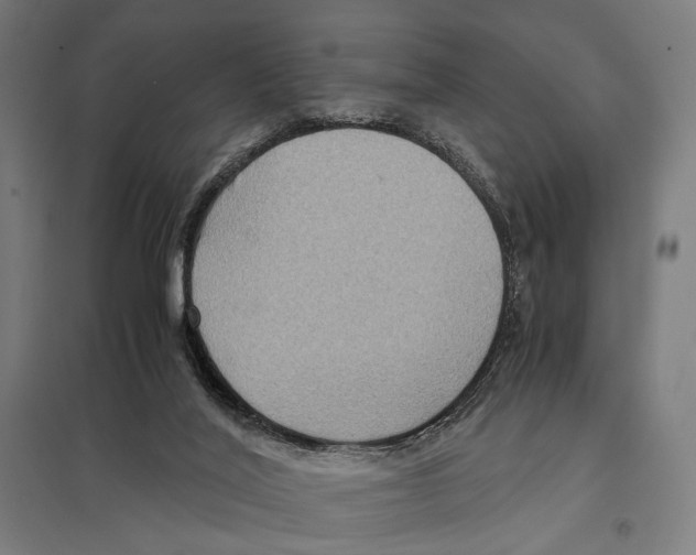 X0000097600020200803281001