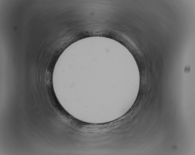 X0000097600025200803281001