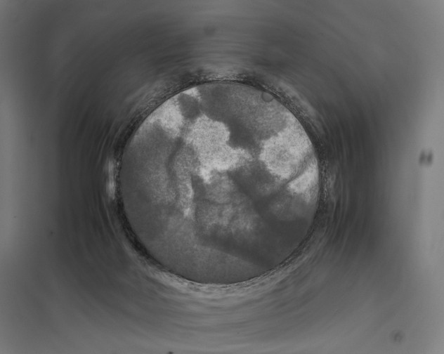 X0000097600026200803281001