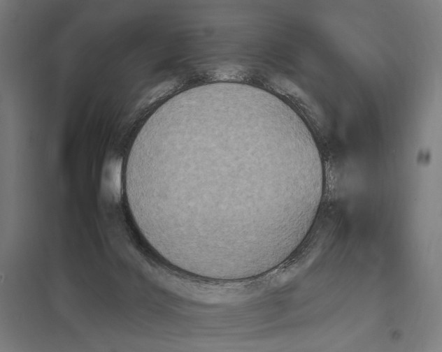 X0000097600028200803281001