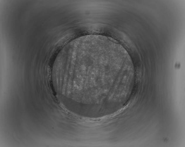 X0000097600029200803281001