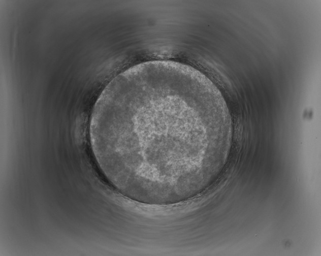 X0000097600030200803281001