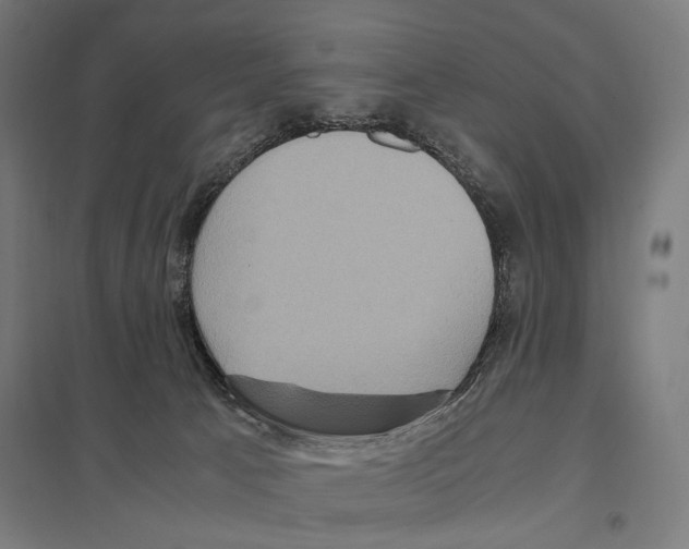 X0000097600033200803281001