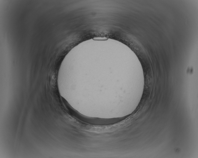 X0000097600037200803281001