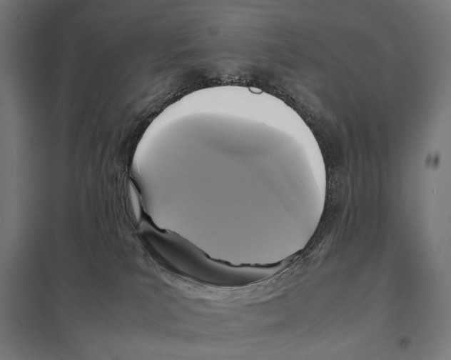 X0000097600039200803281001