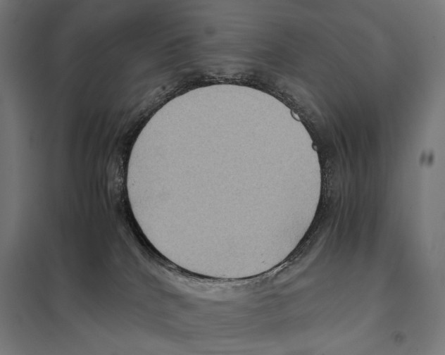 X0000097600040200803281001