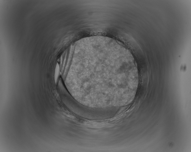 X0000097600041200803281001