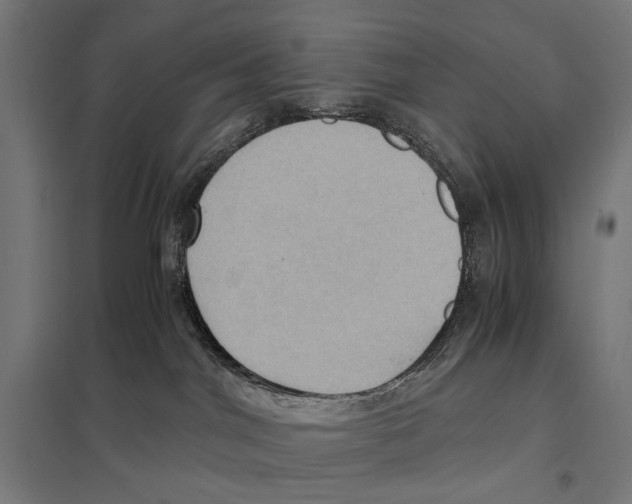 X0000097600044200803281001