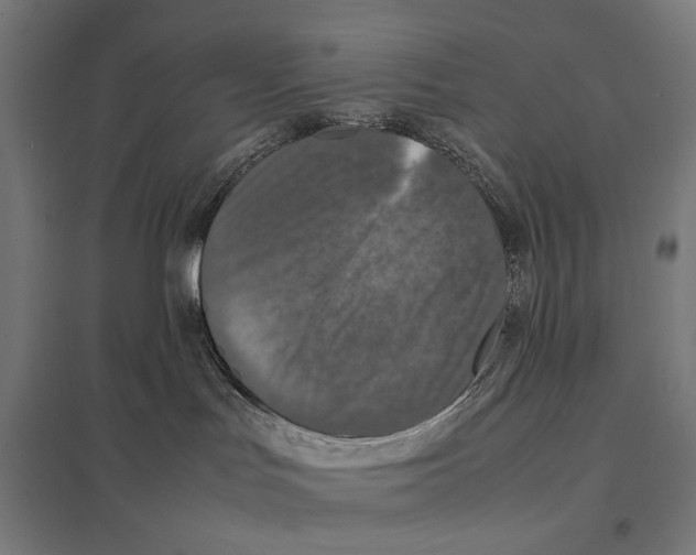 X0000097600047200803281001