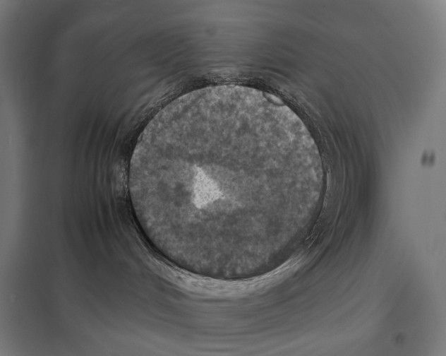 X0000097600048200803281001