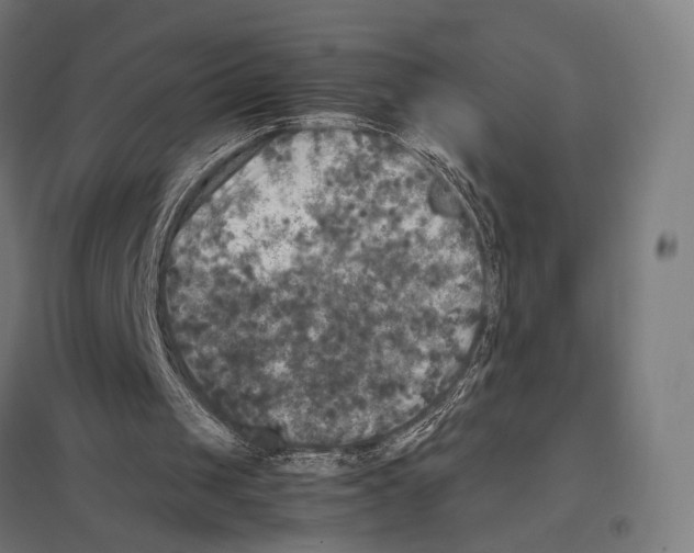 X0000097600049200803281000