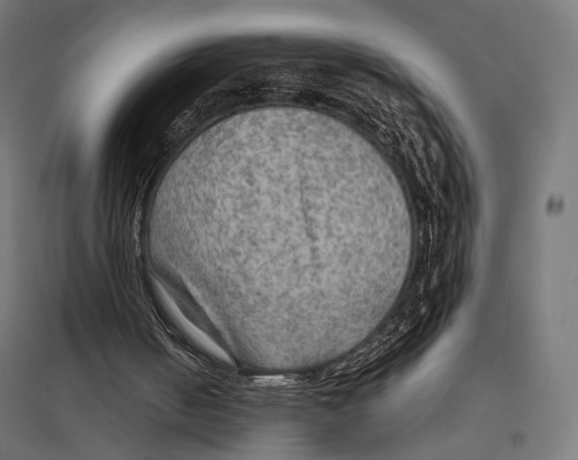 X0000097600050200803281000