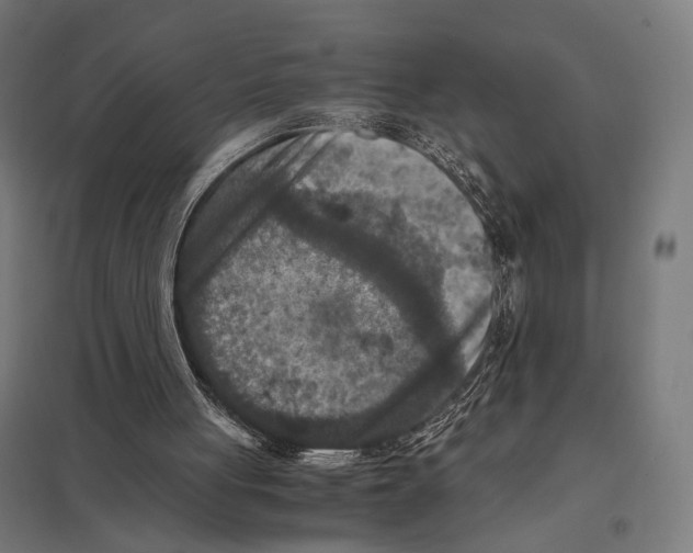 X0000097600051200803281000