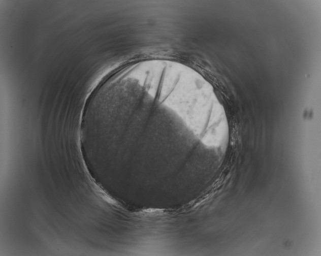 X0000097600052200803281000