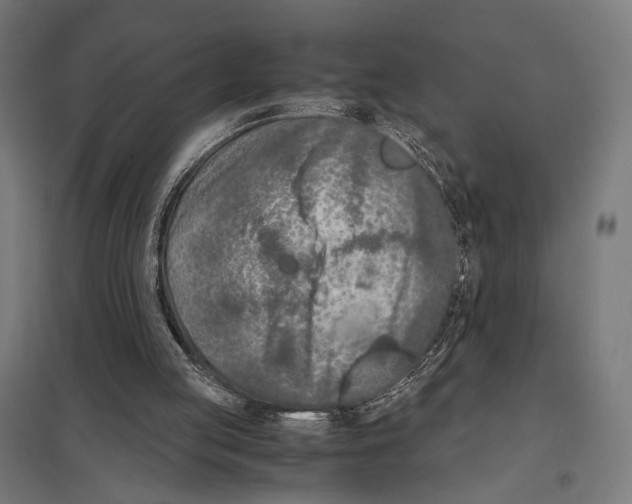 X0000097600053200803281000